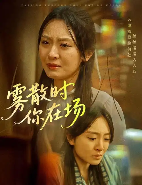 都市情感剧